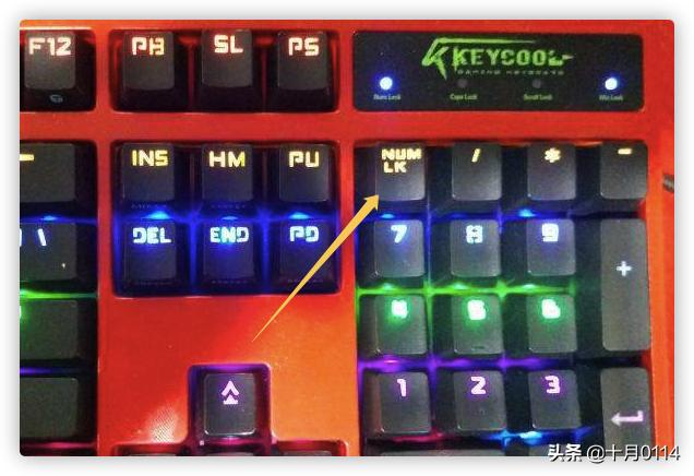 电脑键盘按键功用大全键盘键位图？